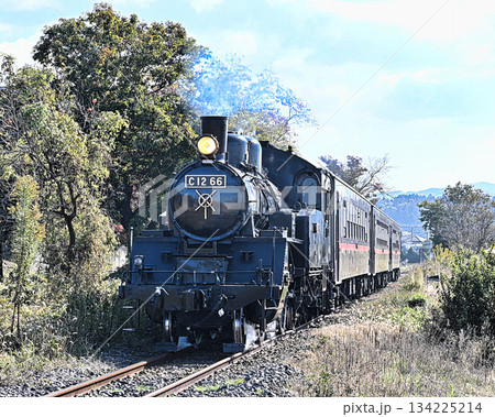 真岡鉄道の蒸気機関車 134225214