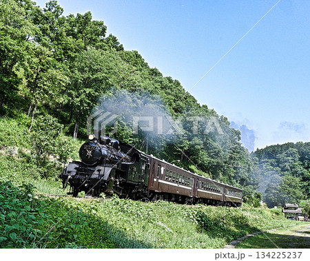 真岡鉄道の蒸気機関車 134225237