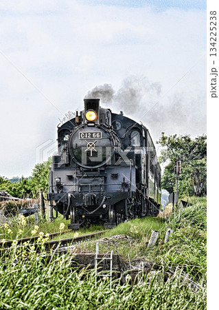 真岡鉄道の蒸気機関車 134225238
