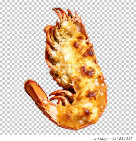 Succulent Lobster Thermidor, gourmet seafood dish with rich creamy sauce, meat, and delicious baked cheese 134225314