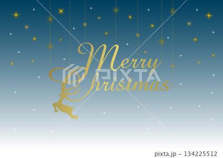 夜空に煌めく星と雪の背景にメリークリスマスのロゴ 134225512