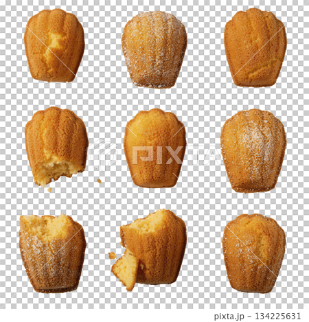 Delicious french madeleine cake collection. small shell shape sponge dessert pastry in grid on transparency background 134225631