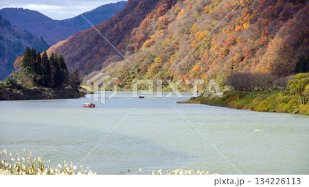 広大な最上川 二隻の舟下り船 秋の絶景 山形県 広大な最上川 二隻の舟下り船 秋の絶景 山形県 134226113