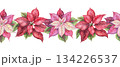 Seamless border with red and pink poinsettia flower. Hand painted watercolor with colored pencil and sparkling texture. Festive garland with green plant perfect for frame and Christmas card design. 134226537