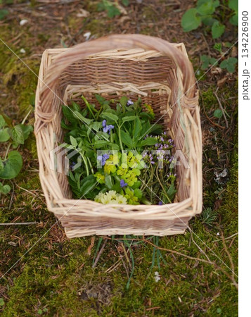 Basket full of flowers and herbs is sitting on the ground 134226900