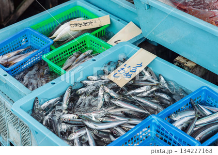 魚市場に並ぶ水揚げされたばかりのウルメイワシとアジ 魚市場に並ぶ水揚げされたばかりのウルメイワシとアジ 134227168