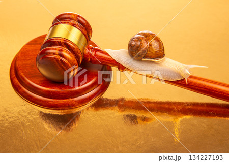 Snail and hammer of justice. The concept of slow adoption of laws and judicial decision Snail and hammer of justice. The concept of slow adoption of laws and judicial decision 134227193