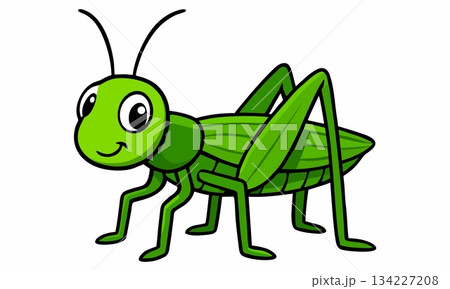Cute cartoon grasshopper illustration 134227208