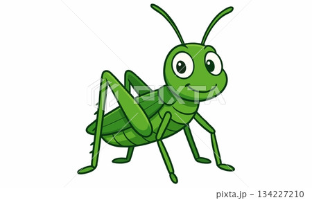 Cute cartoon grasshopper illustration 134227210
