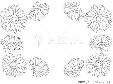 シンプルなガーベラのフレーム素材 134227254