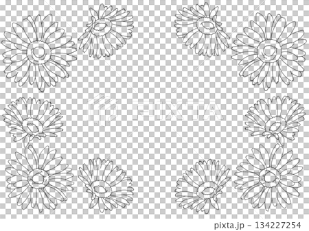 シンプルなガーベラのフレーム素材 134227254