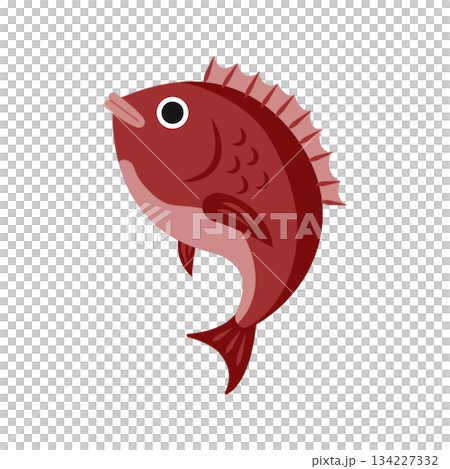 勢いの良い真っ赤な鯛のイラスト 縁起の良い魚  134227332