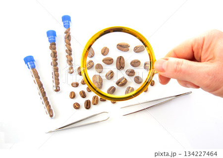 Scientific coffee inspection concept with magnifying glass 134227464