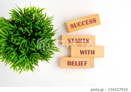 Belief stands as the cornerstone of success with wooden blocks proudly displaying a powerful message. Lush greenery adds a vibrant touch to this inspiring scene, perfect for motivation 134227910