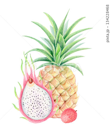Pineapple, dragon fruit and lychee summer exotic composition, watercolor and colored pencil isolated tropical fruit illustration. 134228468