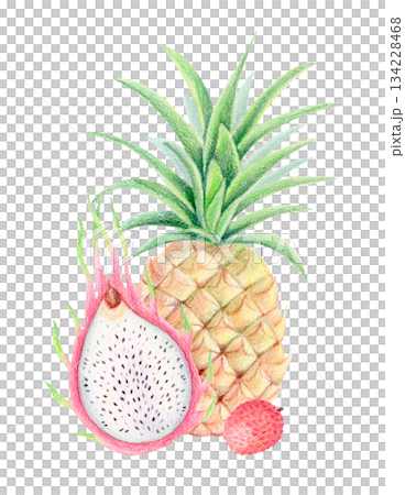 Pineapple, dragon fruit and lychee summer exotic composition, watercolor and colored pencil isolated tropical fruit illustration. 134228468
