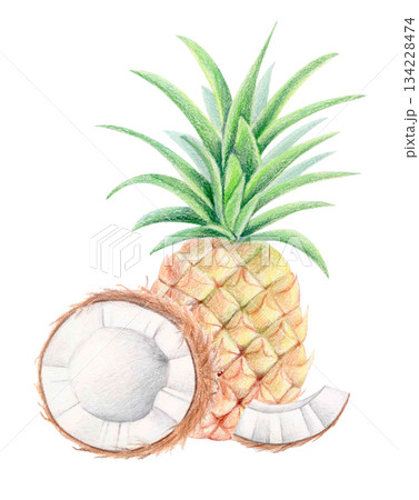 Pineapple and coconut summer exotic composition, watercolor and colored pencil isolated illustration. Tropical botanical clipart. Pineapple and coconut summer exotic composition, watercolor and colored pencil isolated illustration. Tropical botanical clipart. 134228474