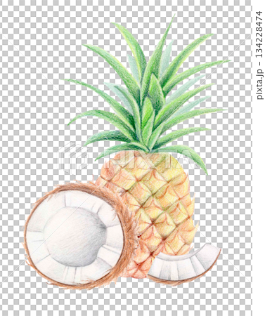 Pineapple and coconut summer exotic composition, watercolor and colored pencil isolated illustration. Tropical botanical clipart. Pineapple and coconut summer exotic composition, watercolor and colored pencil isolated illustration. Tropical botanical clipart. 134228474