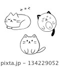 Drawings of cute funny cats with black lines. Fat sleepy cats. 134229052