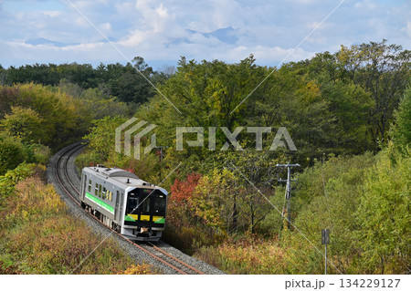 紅葉する根室本線を走るH100形の DECMO 134229127