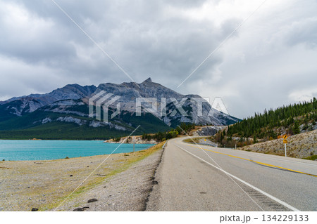 アブラハム湖畔を走るアルバータ・ハイウェイ11号線とミッチェナー山。ジャスパー国立公園、カナダ 134229133