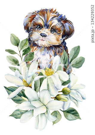 Puppy with white magnolia flowers watercolor floral dog portrait for spring nursery wall art Puppy with white magnolia flowers watercolor floral dog portrait for spring nursery wall art 134229352