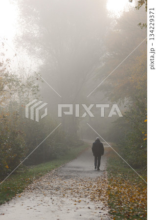 walk way in magic fog, mystical landscape under the fog, the fog creates an illusion. In the lake park of Kirchheim im Hesse Germany 134229371