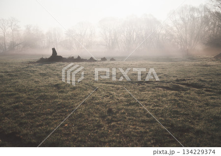 Beautiful Landscape Background Sky Clouds Sunset. idyllic landscape blue sky at sunset sunrise in yellow red brown and fiery colors in autumn or spring. Beautiful Landscape Background Sky Clouds Sunset. idyllic landscape blue sky at sunset sunrise in yellow red brown and fiery colors in autumn or spring. 134229374