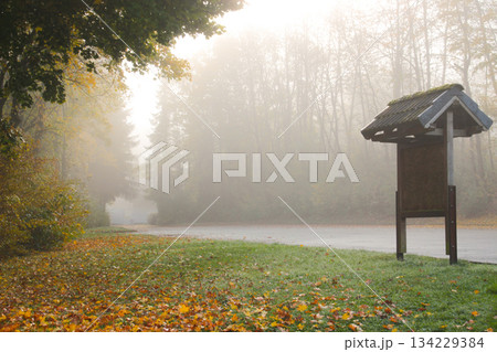 walk way in magic fog, mystical landscape under the fog, the fog creates an illusion. In the lake park of Kirchheim im Hesse Germany 134229384