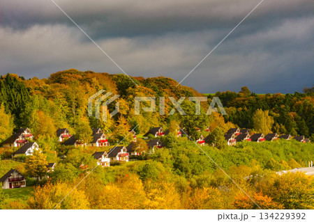Great view on park in autumn season, yellow, red,green foliage. Beauty of wild nature theme Kircheim, Hesse, Germany Great view on park in autumn season, yellow, red,green foliage. Beauty of wild nature theme Kircheim, Hesse, Germany 134229392