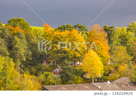 Great view on park in autumn season, yellow, red,green foliage. Beauty of wild nature theme Kircheim, Hesse, Germany Great view on park in autumn season, yellow, red,green foliage. Beauty of wild nature theme Kircheim, Hesse, Germany 134229429