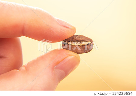 close-up of a hand holding a single roasted coffee bean, split open to reveal its texture 134229654