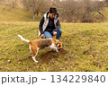 Woman and beagle dog digging outdoors 134229840