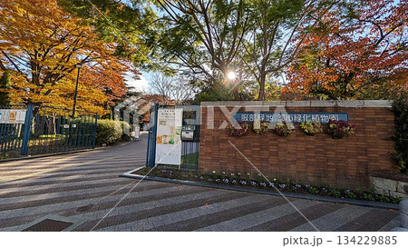 大阪の服部緑地の都市緑化植物園 大阪の服部緑地の都市緑化植物園 134229885
