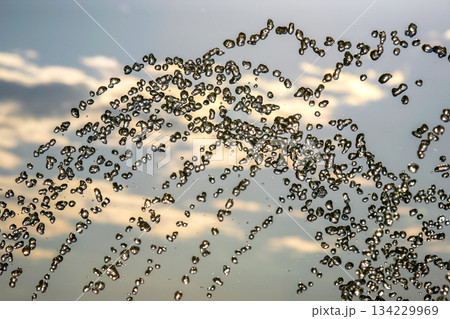 silhouettes of drops falling water fountain against the backdrop of the setting sun silhouettes of drops falling water fountain against the backdrop of the setting sun 134229969