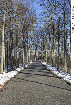 Medvednica Forest Winter Road 134230575