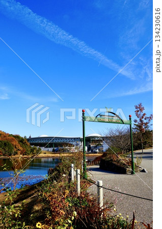 モリコロパークの秋景色　紅葉と湖面リフレクションの快晴風景 134230616
