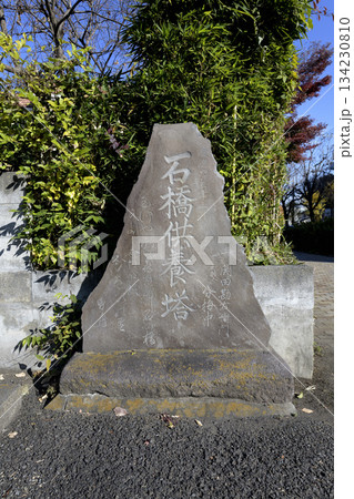 東京都府中市　光明院下の石橋供養塔 134230810
