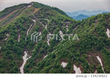 谷川岳・西黒尾根の登りから見る新緑の天神平 134230822