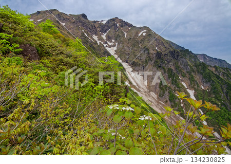 新緑の西黒尾根の登りから見る谷川岳山頂 134230825
