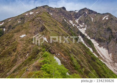 新緑の西黒尾根の登りから見る谷川岳山頂 134230826