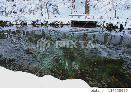 雪のモネの池 2401 04 雪のモネの池 2401 04 134230956