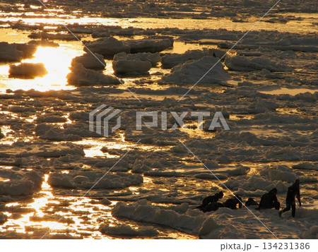 幌別橋付近からの流氷 0702 05 134231386