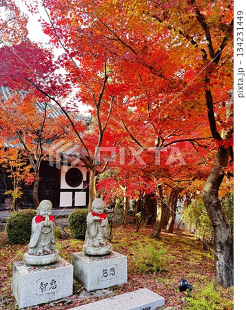 紅葉に包まれたお地蔵さん 134231449