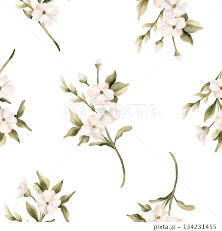 White small flowers with leaves seamless pattern. Jasmine, orange, apple blossom. Watercolor hand painted floral isolated illustration for wedding design home textile cosmetic package wrapping paper White small flowers with leaves seamless pattern. Jasmine, orange, apple blossom. Watercolor hand painted floral isolated illustration for wedding design home textile cosmetic package wrapping paper 134231455