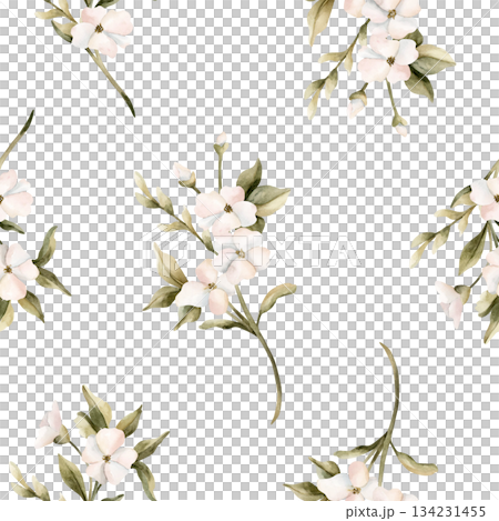 White small flowers with leaves seamless pattern. Jasmine, orange, apple blossom. Watercolor hand painted floral isolated illustration for wedding design home textile cosmetic package wrapping paper White small flowers with leaves seamless pattern. Jasmine, orange, apple blossom. Watercolor hand painted floral isolated illustration for wedding design home textile cosmetic package wrapping paper 134231455