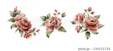 Roses with buds and leaves. Dusty pink garden flower arrangements set. Watercolor hand painted floral isolated illustration on white background for wedding design home textile porcelain crockery card Roses with buds and leaves. Dusty pink garden flower arrangements set. Watercolor hand painted floral isolated illustration on white background for wedding design home textile porcelain crockery card 134231718