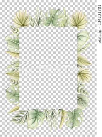 Monstera Palm Leaves Branches Tropical Exotic green plants frame. Watercolor hand painted summer pastel neutral isolated illustration on white background for nursery kids baby card logo label template Monstera Palm Leaves Branches Tropical Exotic green plants frame. Watercolor hand painted summer pastel neutral isolated illustration on white background for nursery kids baby card logo label template 134231781