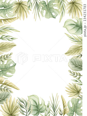 Monstera Palm Leaves Branches Tropical Exotic green plants frame. Watercolor hand painted summer pastel neutral isolated illustration on white background for nursery kids baby card logo label template Monstera Palm Leaves Branches Tropical Exotic green plants frame. Watercolor hand painted summer pastel neutral isolated illustration on white background for nursery kids baby card logo label template 134231783