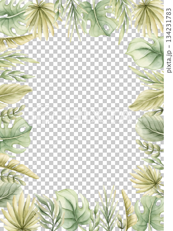 Monstera Palm Leaves Branches Tropical Exotic green plants frame. Watercolor hand painted summer pastel neutral isolated illustration on white background for nursery kids baby card logo label template Monstera Palm Leaves Branches Tropical Exotic green plants frame. Watercolor hand painted summer pastel neutral isolated illustration on white background for nursery kids baby card logo label template 134231783